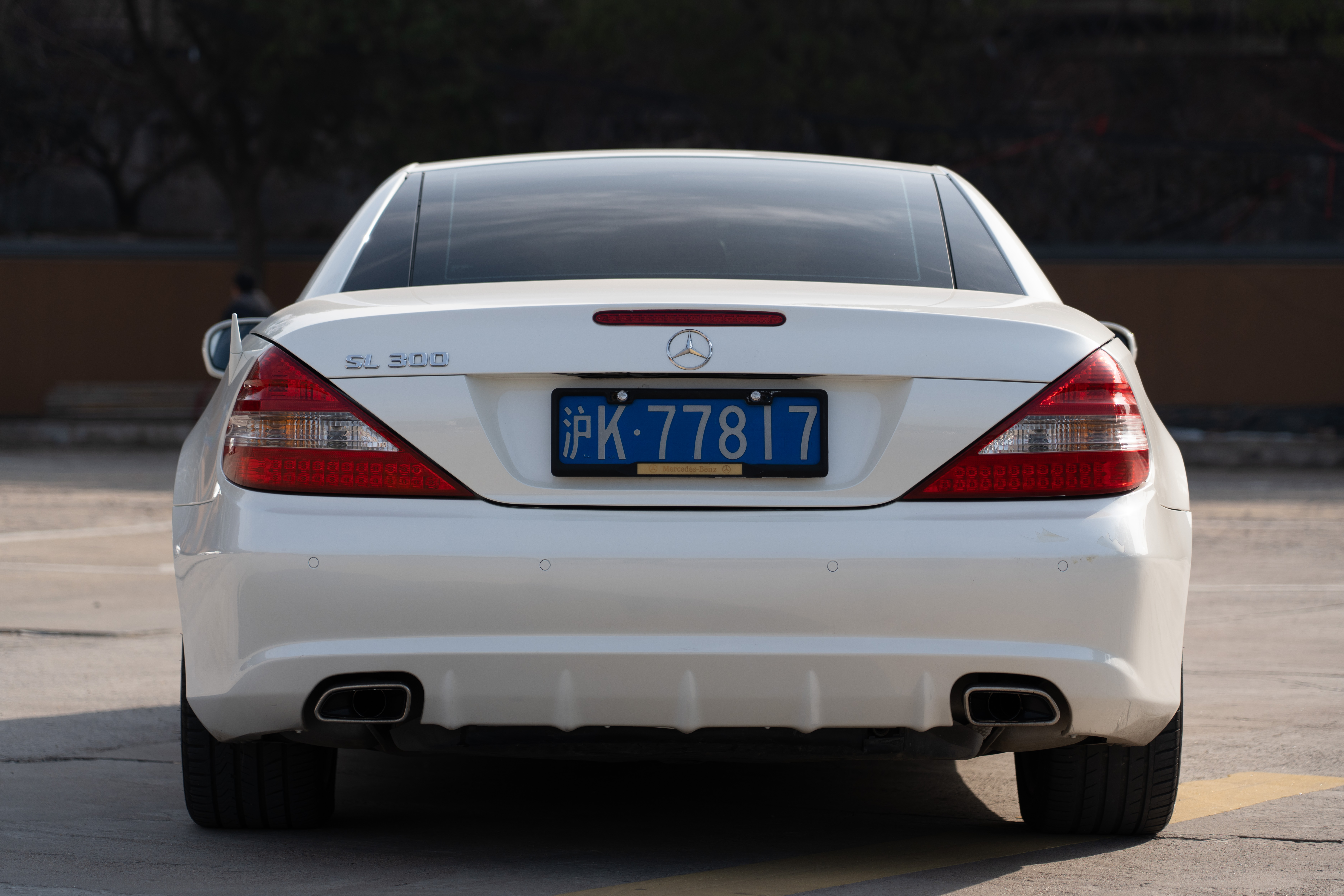 Mercedes-Benz SL Class 2010 immagine di auto #29