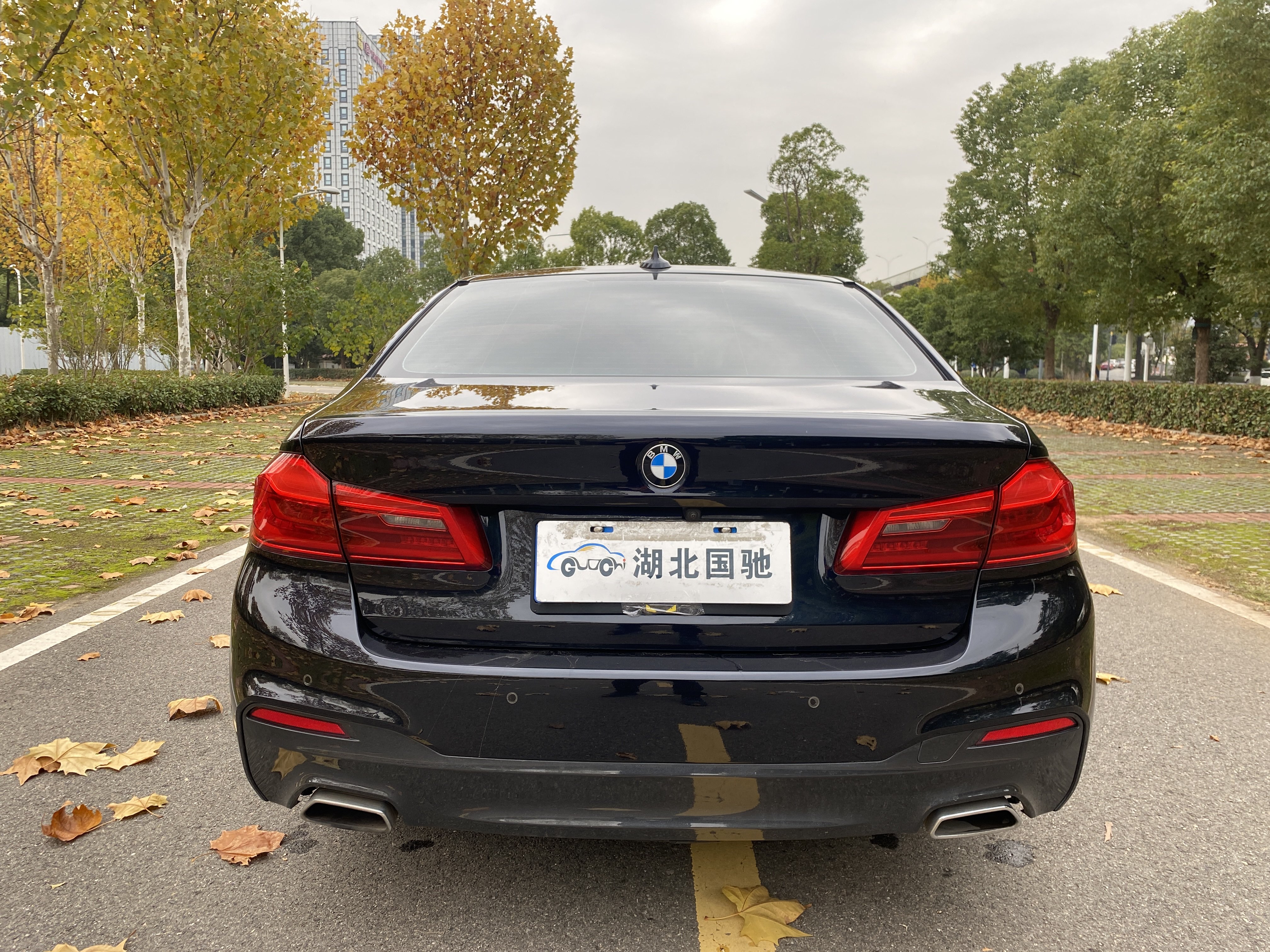 BMW 5 Series 2018 #29 BMW 5 Series 2018 car image #29