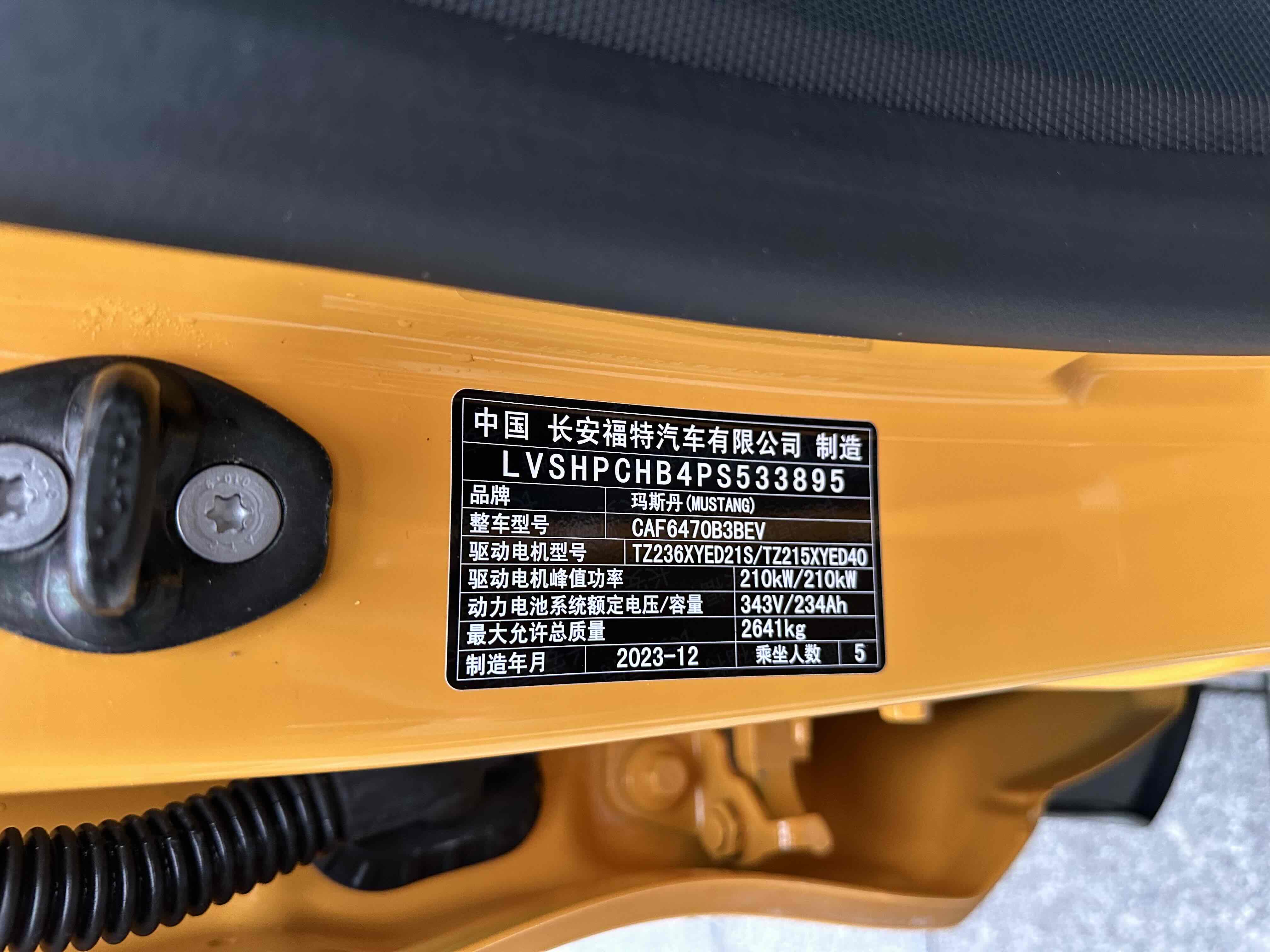 Ford Mustang Mach-E 2024 car image #29