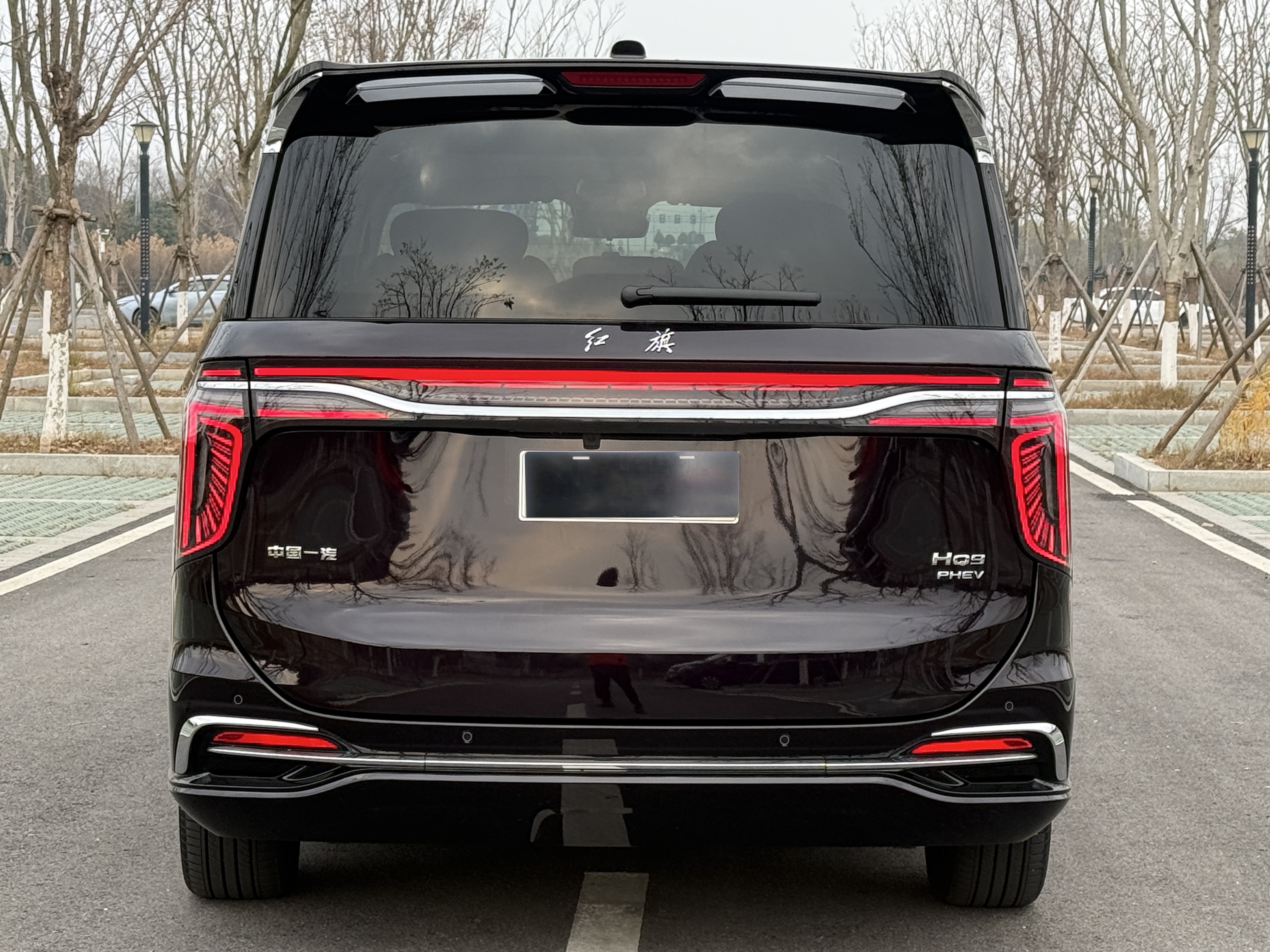 HongQi HQ9 PHEV 2024 #29 HongQi HQ9 PHEV 2024 car image #29