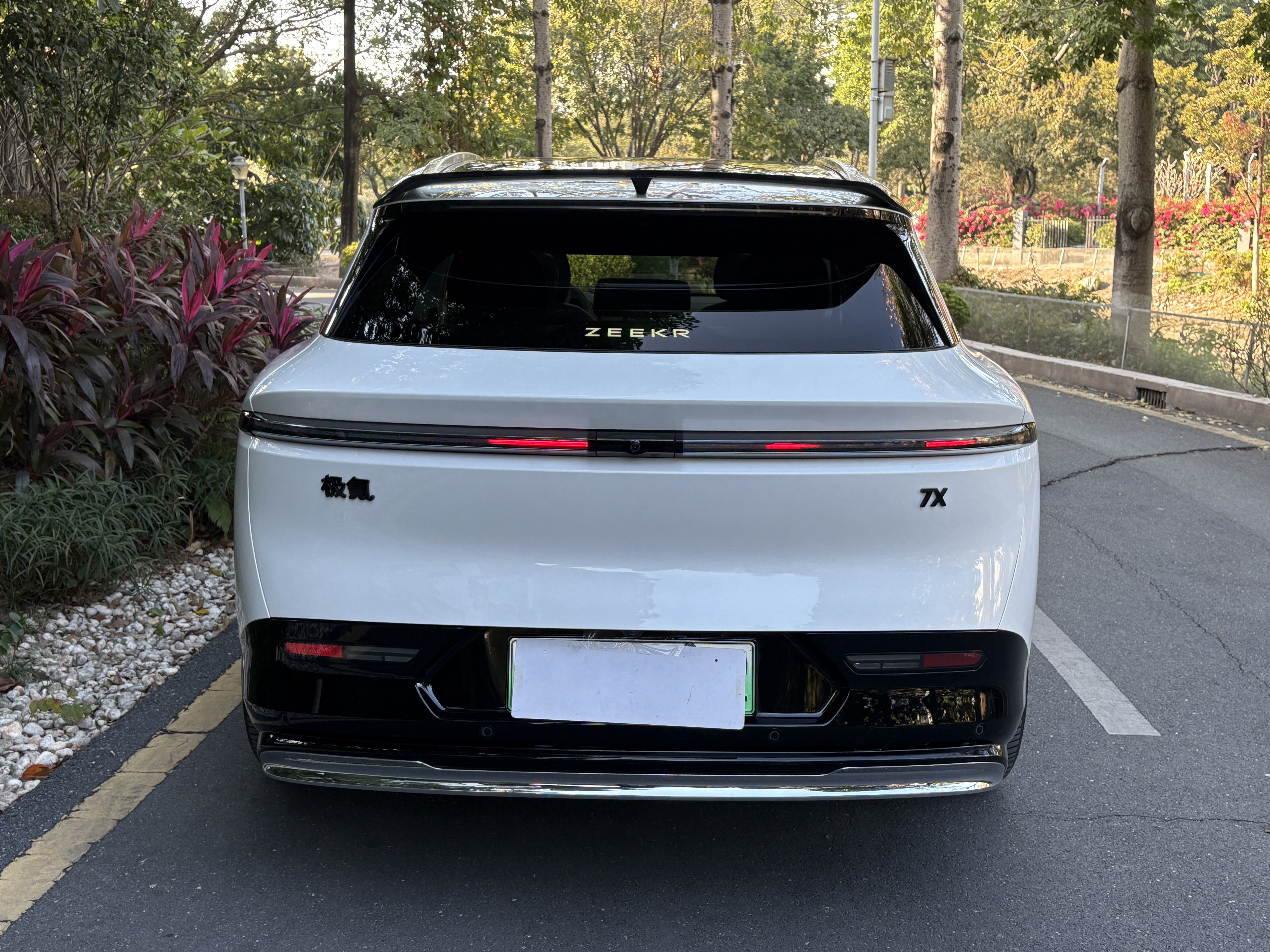 极氪 极氪007 2024 汽车图片 #29