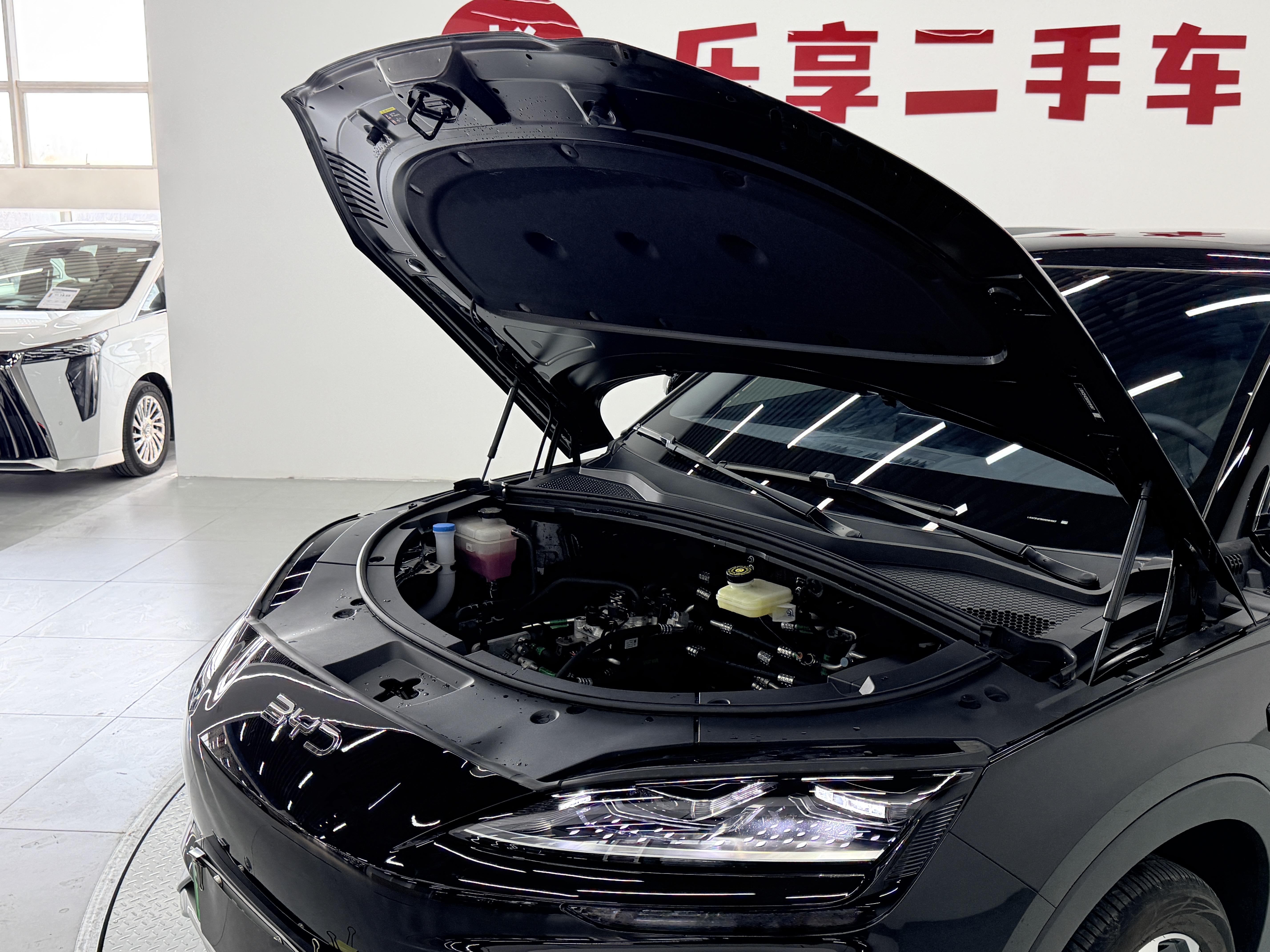 BYD Song Plus New Energy 2025 #29 BYD Song Plus New Energy 2025 car image #29