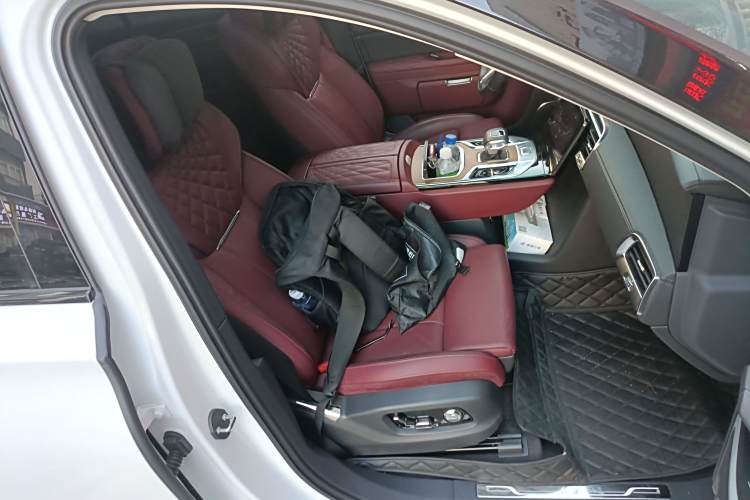 HongQi E-HS9 2023 car image #29