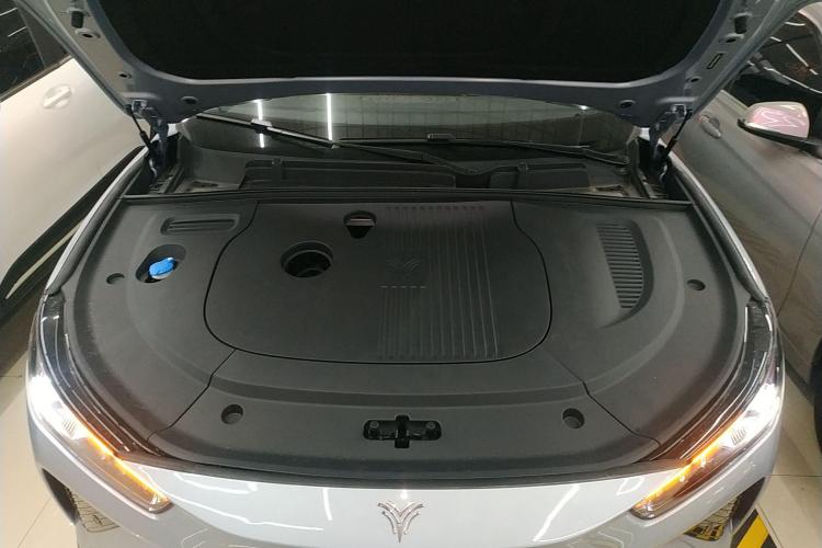 Neta L 2025 imagen de coche #29