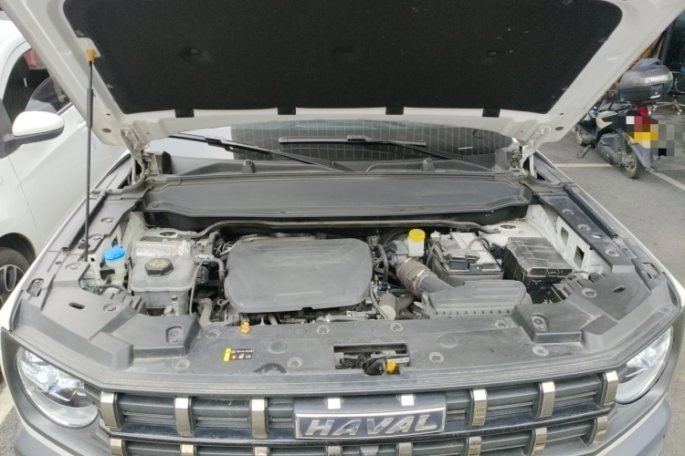 Haval Dargo 2023 car image #29