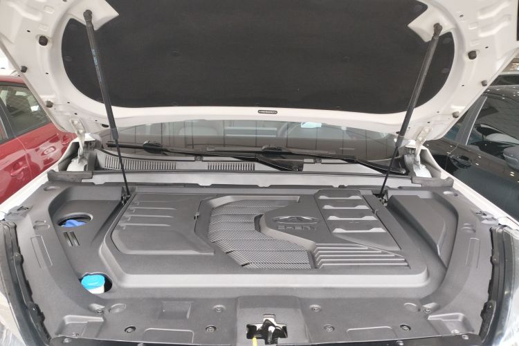 Tiggo 7 2020 car image #29