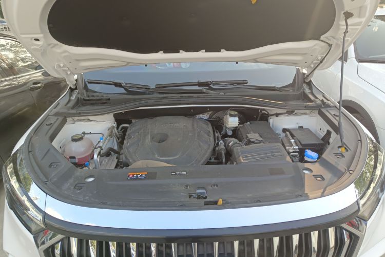 GEELY Okavango L 2024 car image #29