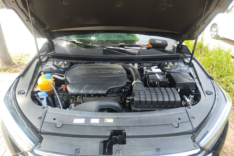 GAC Trumpchi GA8 2021 car image #29