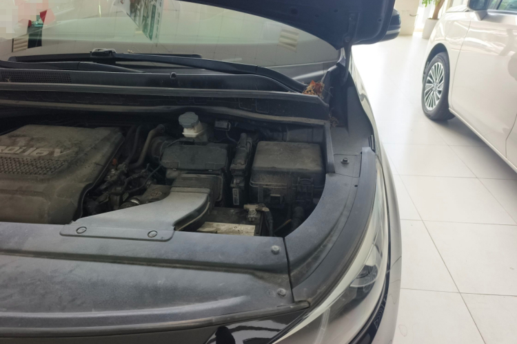 起亚 嘉华(进口) 2017 汽车图片 #29