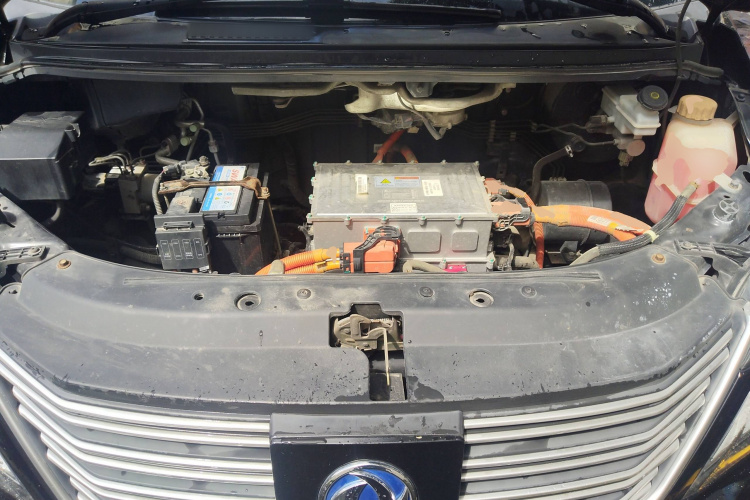 Forthing Lingzhi EV 2020 car image #29