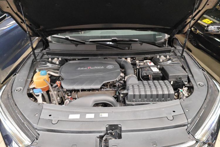 GAC Trumpchi GA8 2021 car image #29