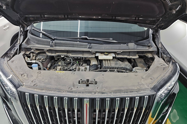 HongQi HQ9 PHEV 2024 immagine di auto #29