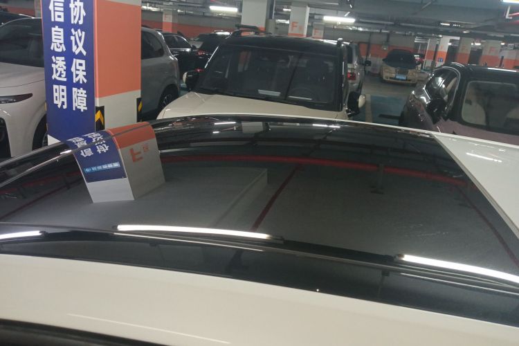 Volkswagen Golf Pure Electric 2020 car image #29