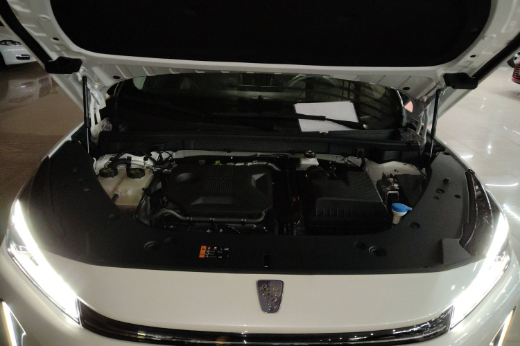 Roewe D5X DMH 2024 car image #29