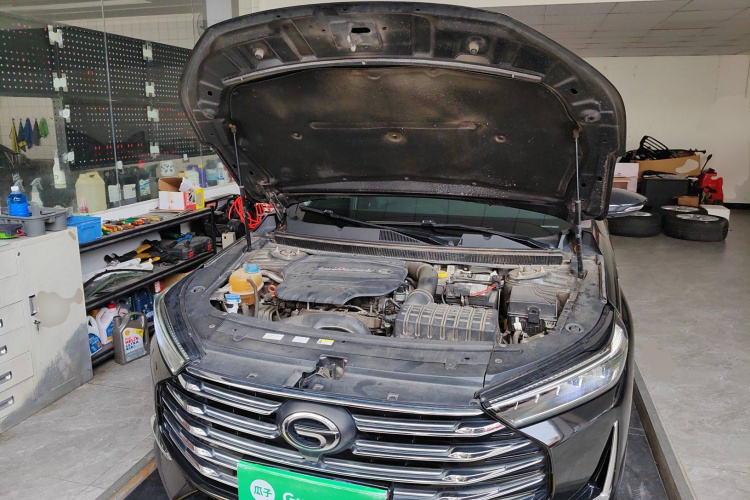 GAC Trumpchi GA8 2021 car image #29