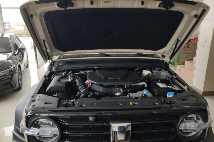 Tank 300 New Energy 2025 imagen de coche #29