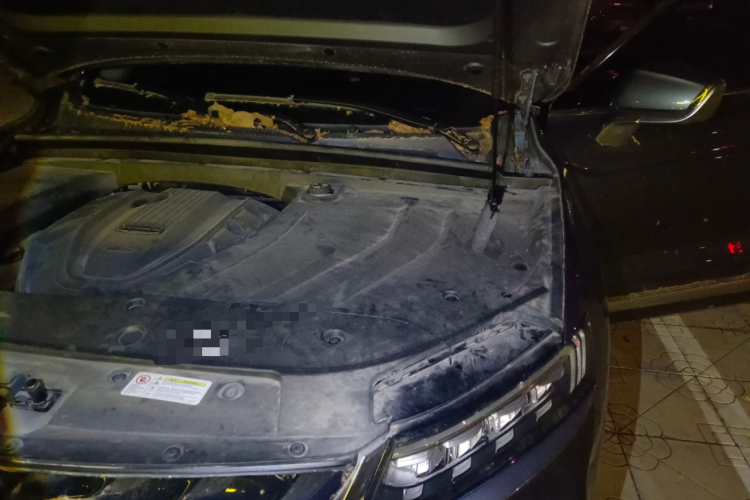 GEELY Tugella New Energy 2019 car image #29