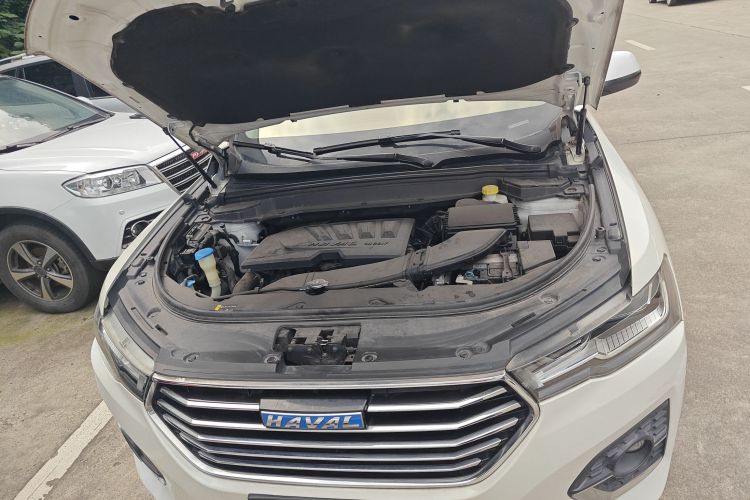 Haval H4 2018 car image #29