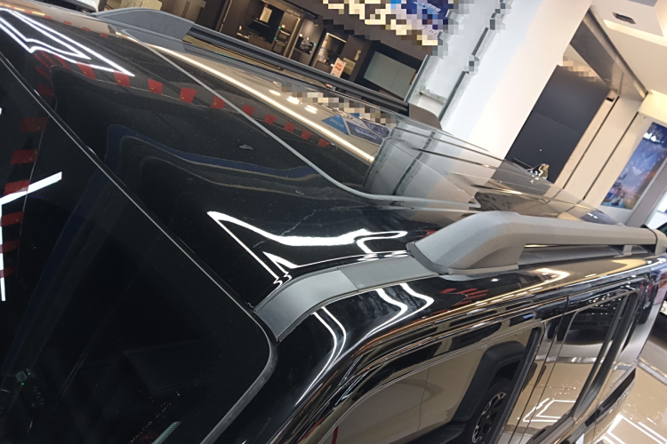 Tank 300 New Energy 2025 car image #29