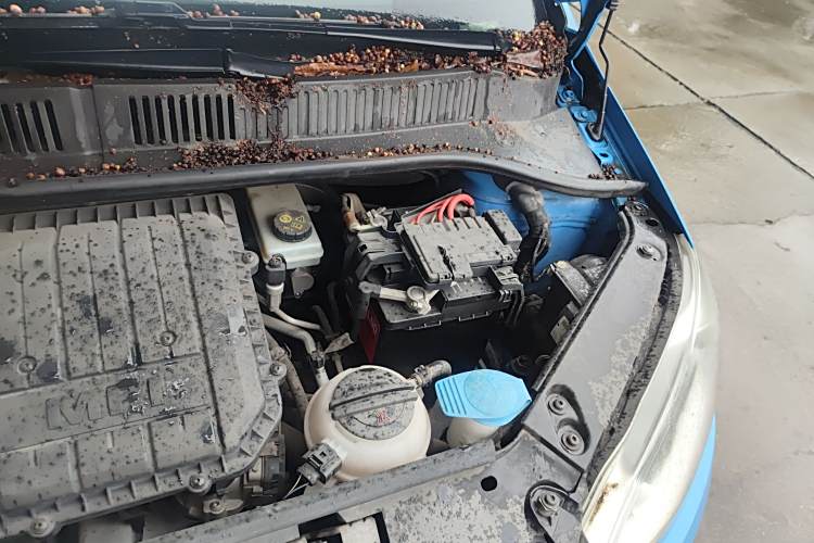 Volkswagen up! 2016 imagem de carro #29