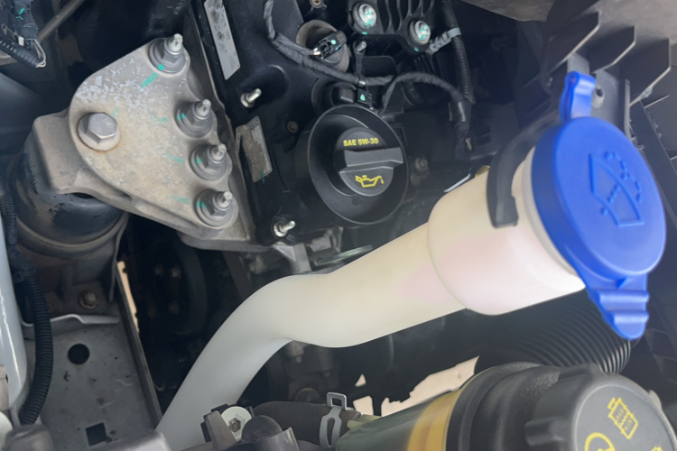 Ford Transit 2020 immagine di auto #29