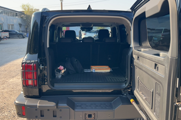 Tank 300 New Energy 2024 #29 Tank 300 New Energy 2024 immagine di auto #29