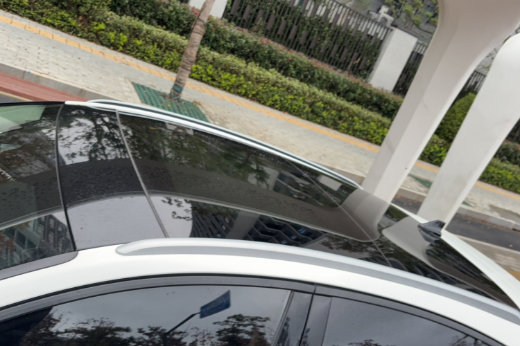 Ford Focus Active 2019 imagem de carro #29