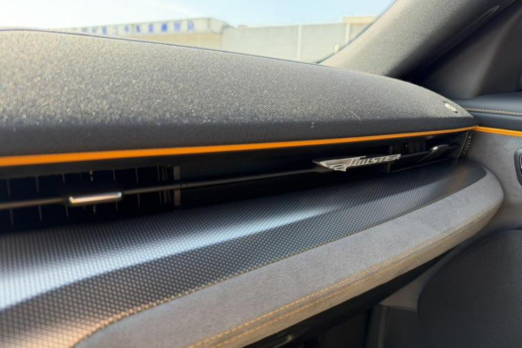 Ford Mustang Mach-E 2023 car image #29