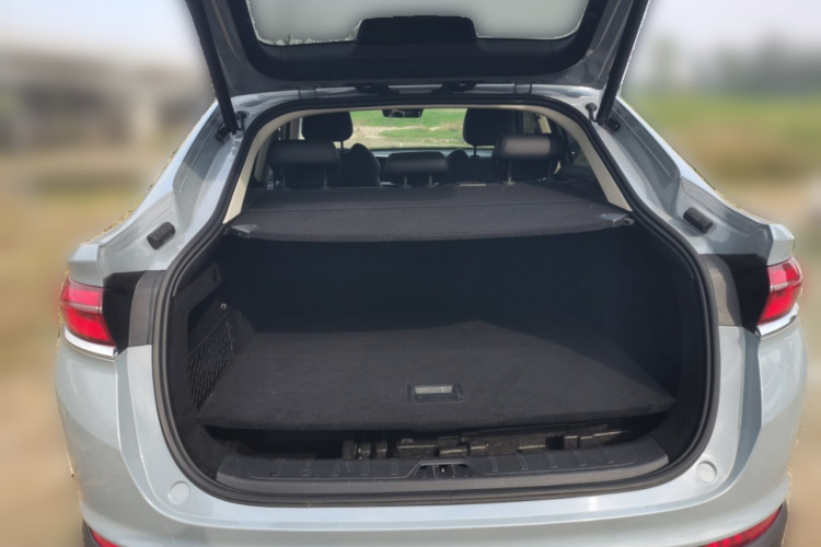 GEELY Tugella S 2021 car image #29