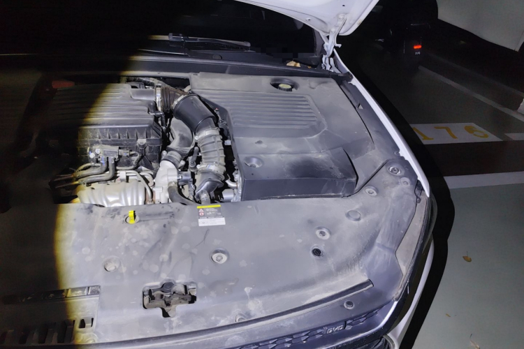 BYD Qin Pro 2020 car image #29