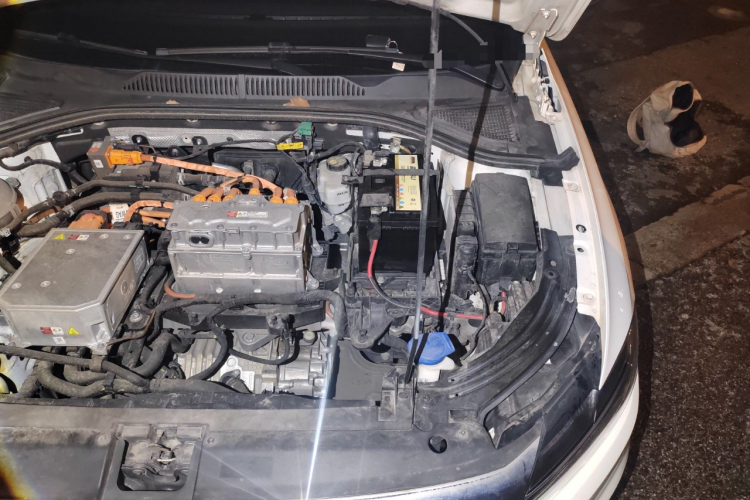 Volkswagen Lavida Pure Electric 2021 #29 Volkswagen Lavida Pure Electric 2021 car image #29