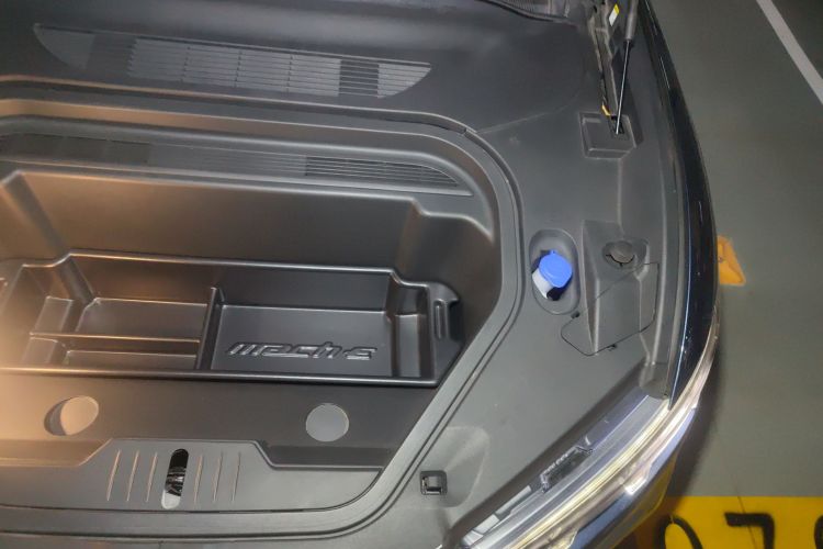 Ford Mustang Mach-E 2022 car image #29