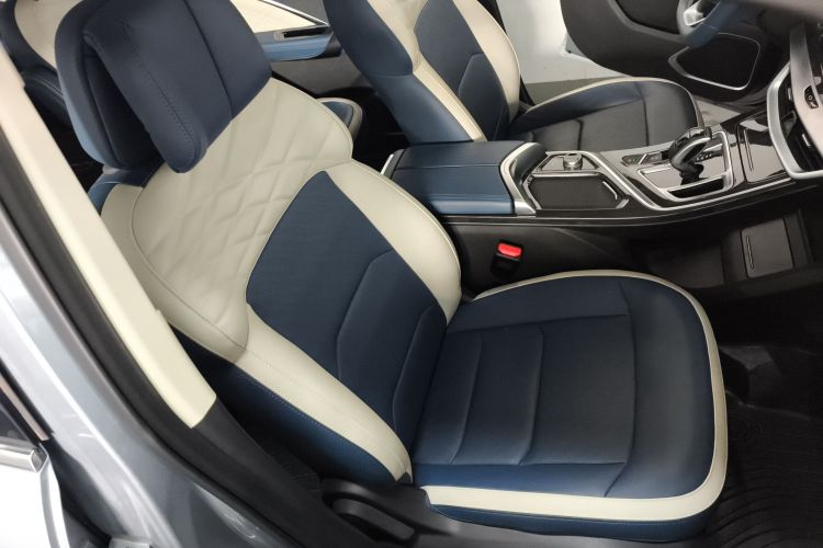 睿蓝汽车 枫叶80v PRO 2023 汽车图片 #29