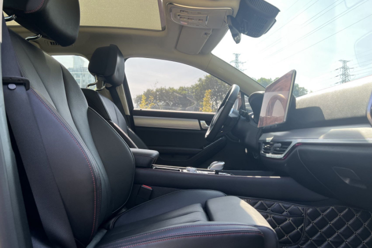 BYD Tang New Energy 2019 car image #29