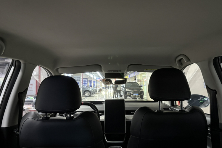 Neta V 2023 imagen de coche #29