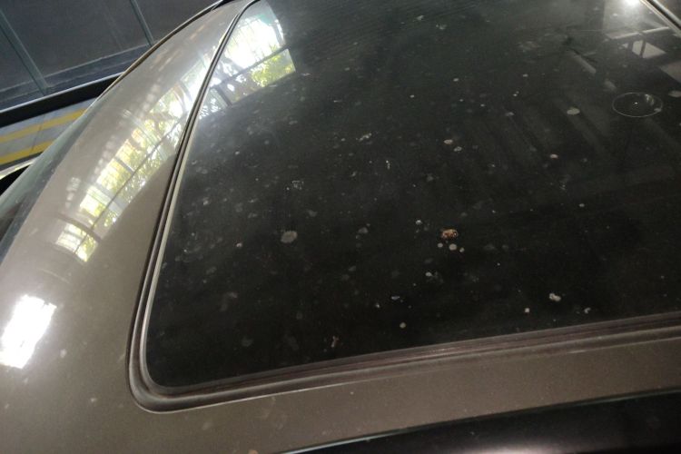 2016 #29 2016 immagine di auto #29