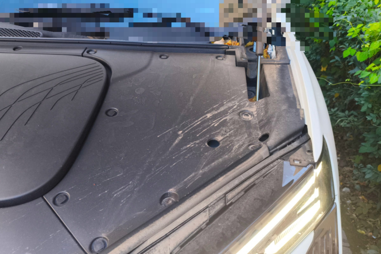 HongQi TianGong 08 2025 car image #29