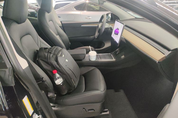 Tesla Model Y 2023 car image #29