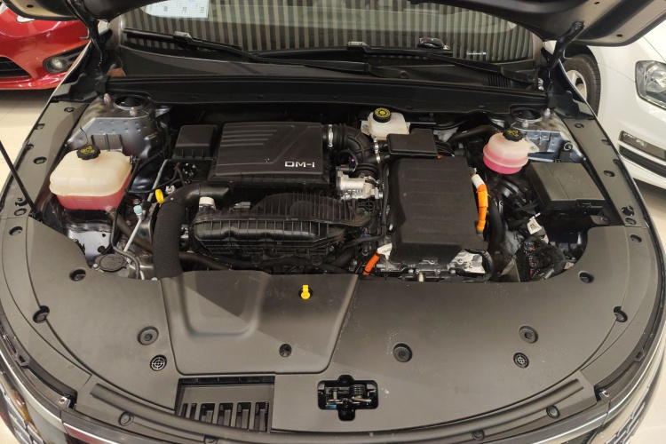 BYD Destroyer 05 2024 car image #29