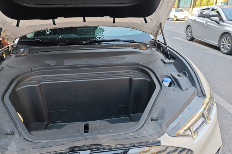 Ford Mustang Mach-E 2022 #29 Ford Mustang Mach-E 2022 car image #29