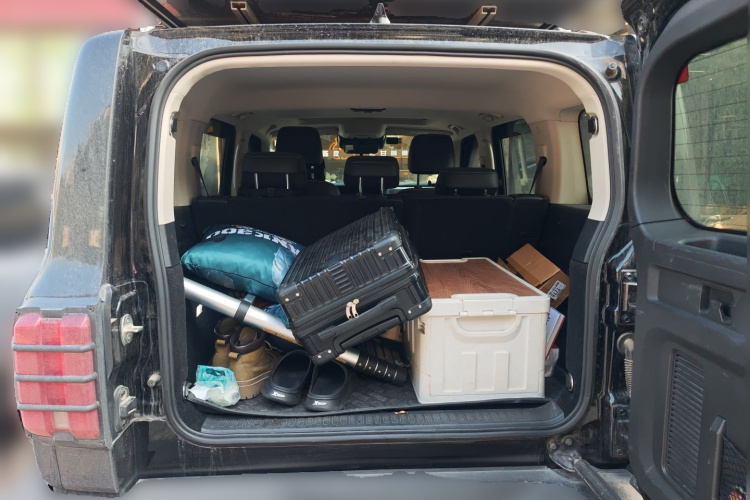 Tank 300 2021 car image #29