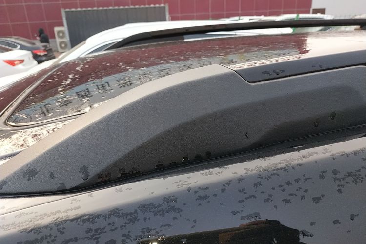 Chevrolet Equinox Plus 2024 #29 Chevrolet Equinox Plus 2024 car image #29