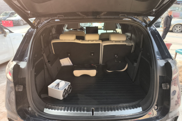 Denza X 2020 car image #29