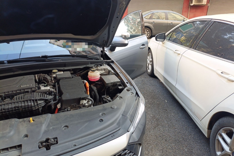 BYD Qin Plus 2024 immagine di auto #29