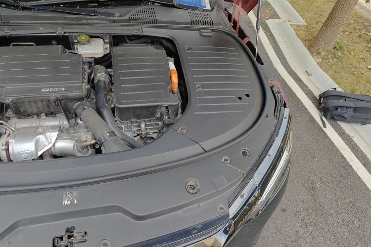 BYD Han 2022 #29 BYD Han 2022 immagine di auto #29