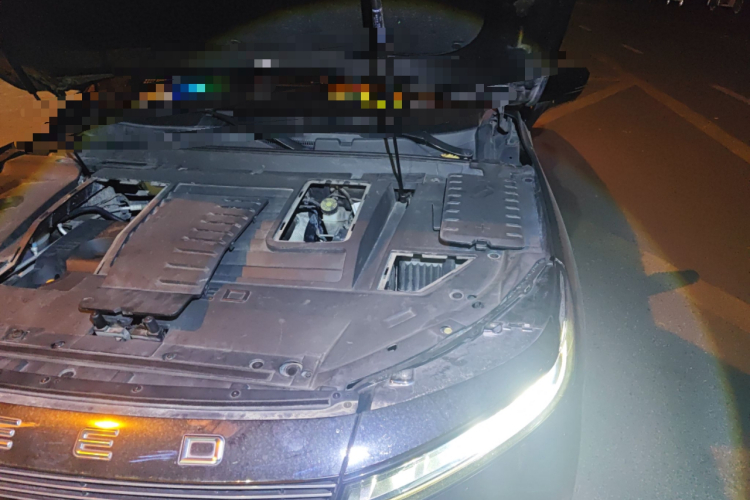 Exceed Chasing Wind 2019 car image #29