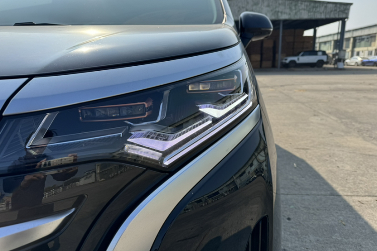 Denza D9 2025 car image #29