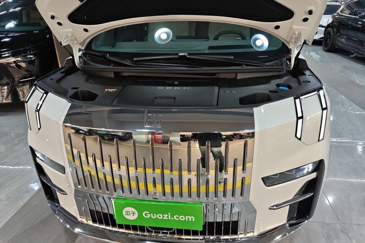 极氪 极氪009 2024 汽车图片 #29