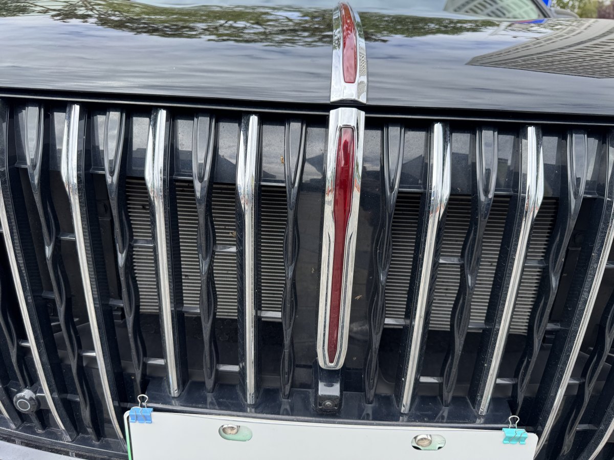 HongQi HS7 PHEV 2024 #29 HongQi HS7 PHEV 2024 car image #29