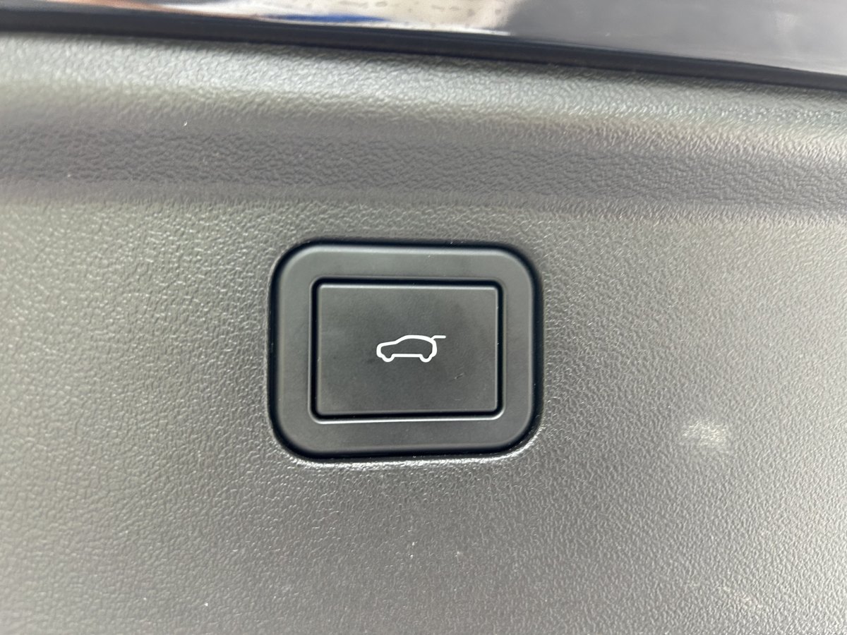 Haval X Dog 2 New Energy 2024 car image #29